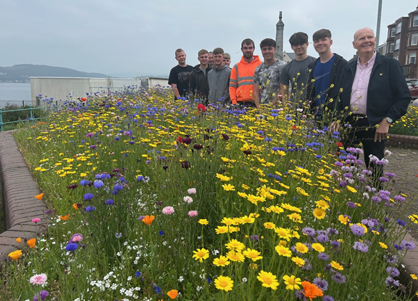 Wildflowers in Gourock